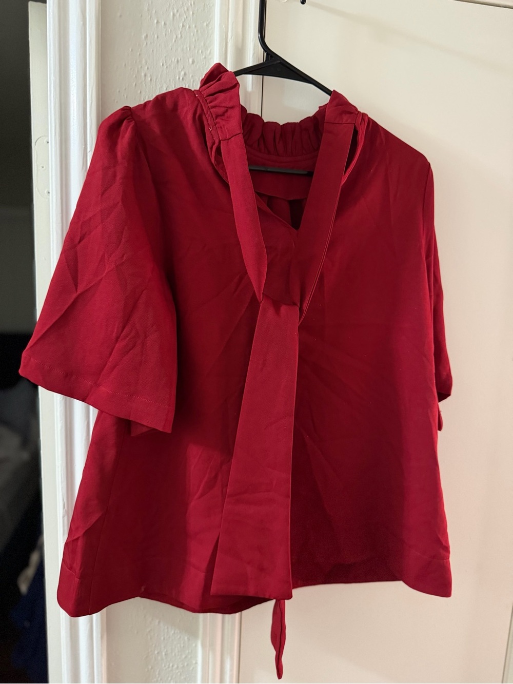 Umgee Crimson Tie-Neck Short Sleeve Blouse